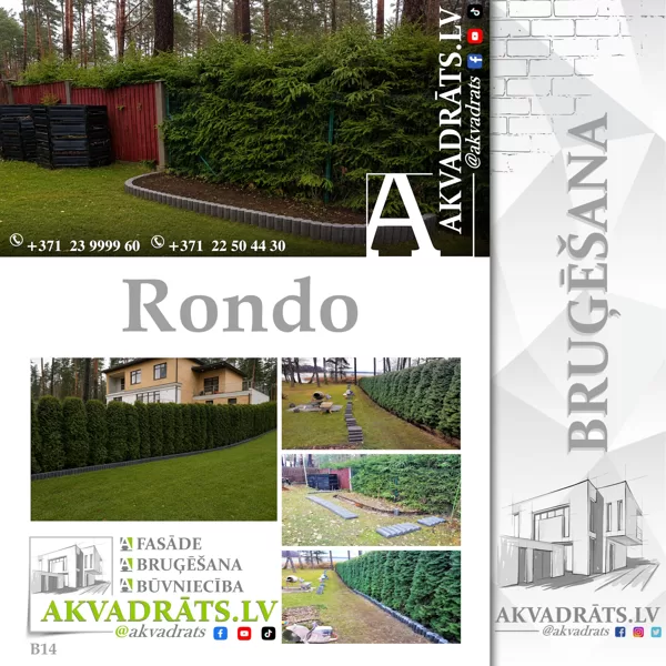 Rondo